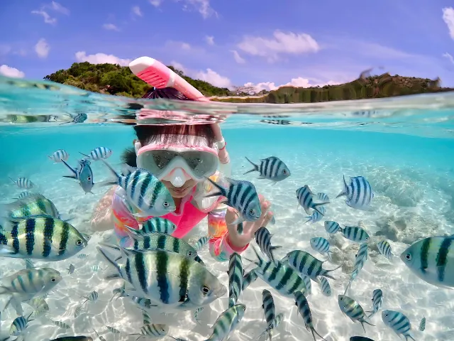 Samaesarn-Snorkeling-Group-Tour-Gallery (13)