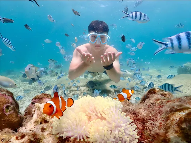 Samaesarn-Snorkeling-join-trip-Gallery (3)