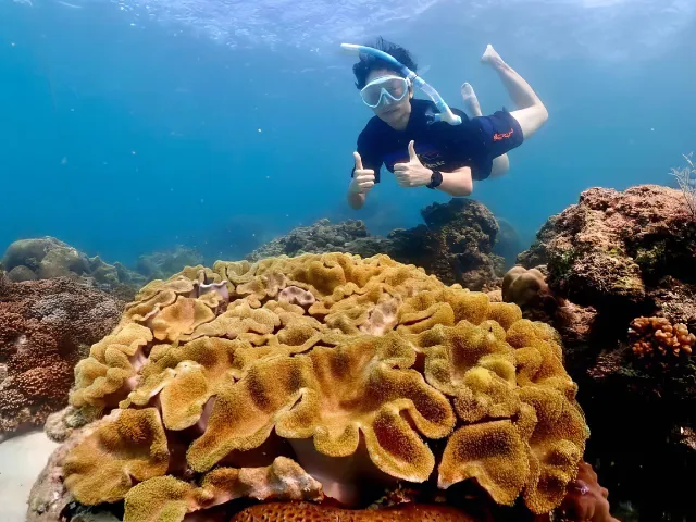 Samaesarn-Snorkeling-join-trip-Gallery (7)