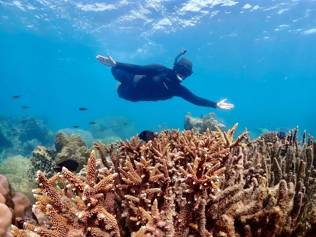 Samaesarn-Snorkeling-join-trip-Gallery (9)