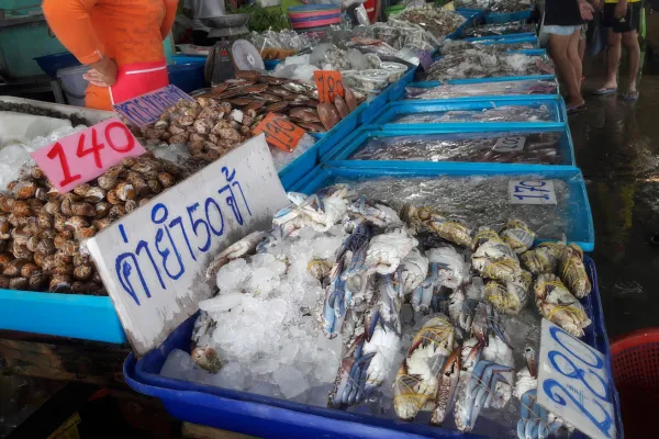 seafood-market-samaesarn-cover