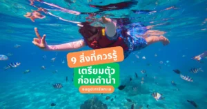 9-Things-You-Should-Know-to-Prepare-Before-snorkeling-and-Seeing-Coral