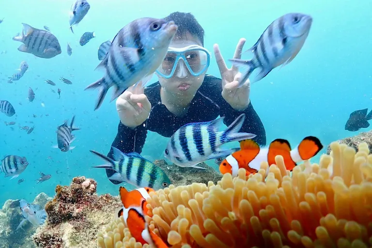 snorkeling-trip-island-samaesarn