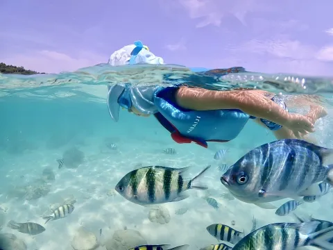 Snorkeling-season-rainy-samaesarn