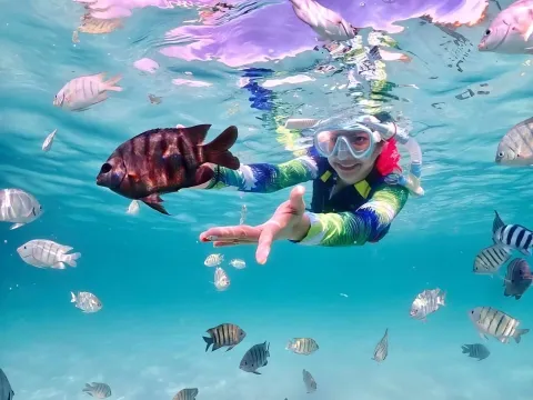 Enjoy-snorkeling-at-Koh-Jan-samaesarn-with-friendly-fish-and-beautiful-sandy-shores