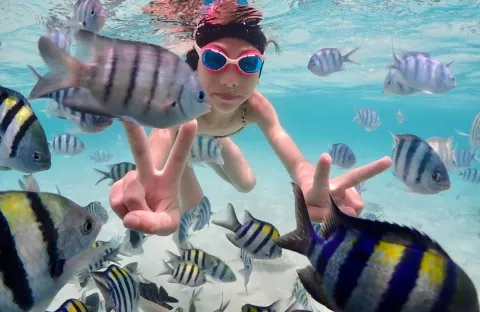Snorkeling-at-Koh-Jan-Samaesarn-with-colorful-fish-and-sandy-beaches