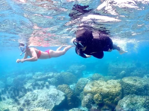 Snorkeling-adventure-at-Koh-hin-moo-Samaesarn-discover-the-coral-reefs