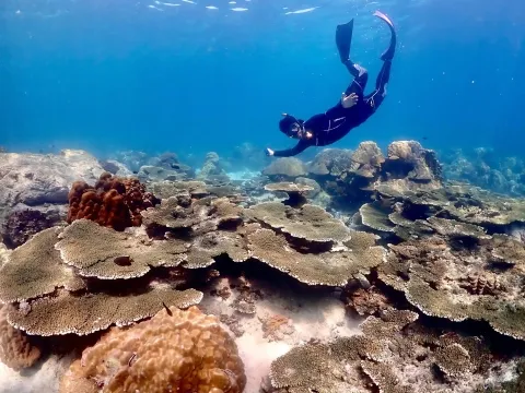 Snorkeling-at-Koh-hin-moo-Samaesarn-discover-the-coral-reefs