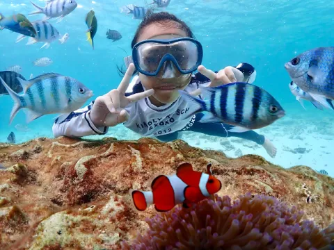 snorkeling-samaesarn-in-sea-blog-for-beginners