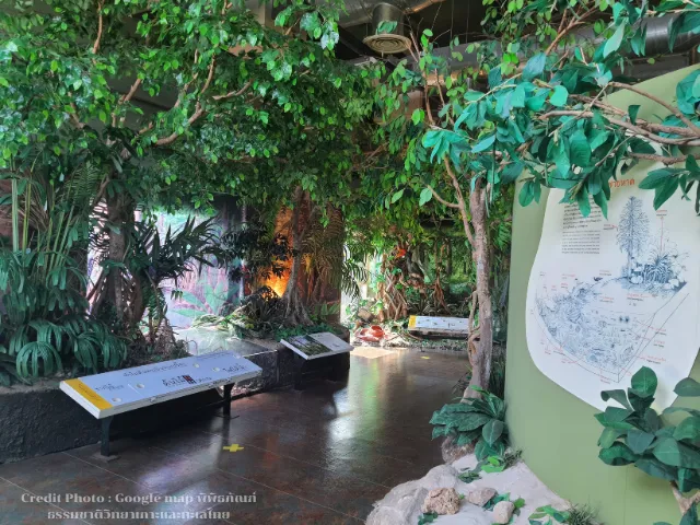 พิพิธภัณฑ์ธรรมชาติวิทยาเกาะและทะเลไทย-blog-ที่เที่ยวแสมสาร-1