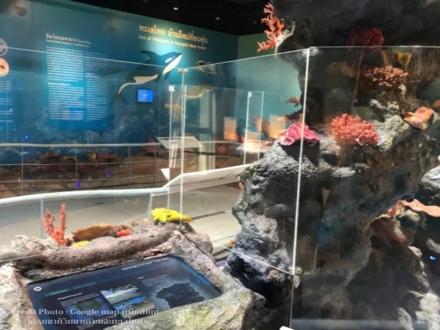 พิพิธภัณฑ์ธรรมชาติวิทยาเกาะและทะเลไทย-blog-ที่เที่ยวแสมสาร-2