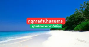 best-season-snorkeling-samaesarn