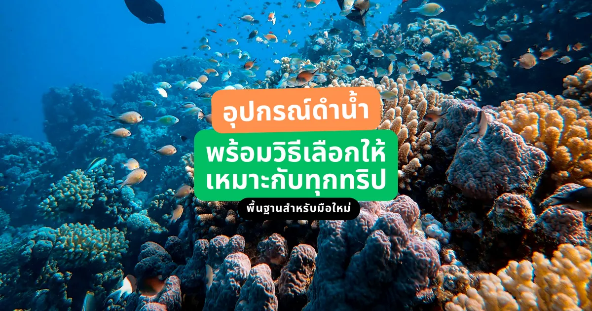 equipment-snorkeling-and-scuba-for-beginners