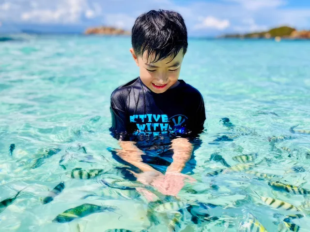 ดำน้ำแสมสารช่วงเดือน มกราคม-กุมภาพันธุ์-มีนาคม-เมษายน-พฤษภาคม 2