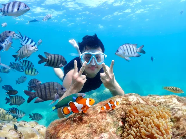 ดำน้ำแสมสารช่วงเดือน มกราคม-กุมภาพันธุ์-มีนาคม-เมษายน-พฤษภาคม