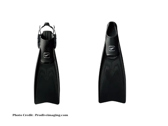 ตีนกบ-(Fins)-blog-อุปกรณ์ดำน้ำพื้นฐานสำหรับมือใหม่ พร้อมวิธีเลือกให้เหมาะกับทุกทริป