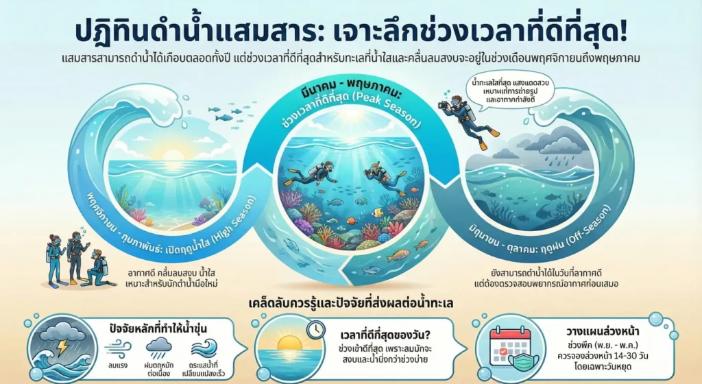 ฤดูกาลดำน้ำแสมสาร เดือนไหนของปีน้ำใสที่สุด คู่มือเลือกช่วงเวลาที่ดีที่สุด