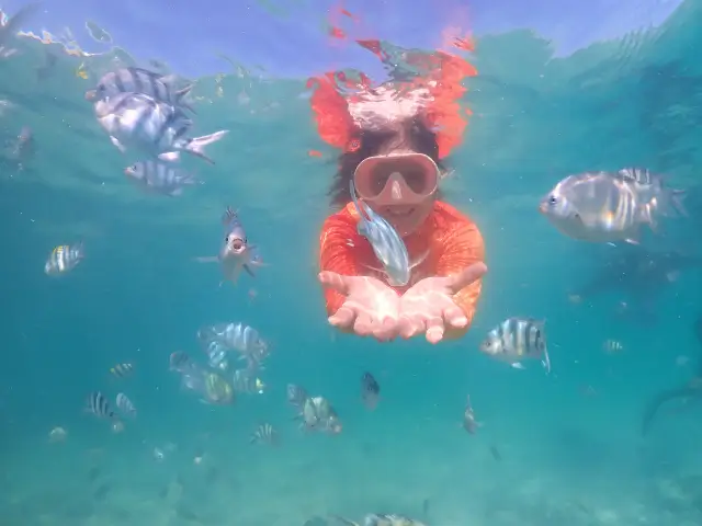 snorkeling-koh-kham-samaesarn-with-fish