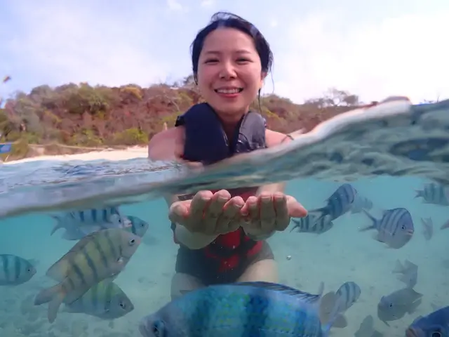 swimming-koh-kham-samaesarn-with-fish