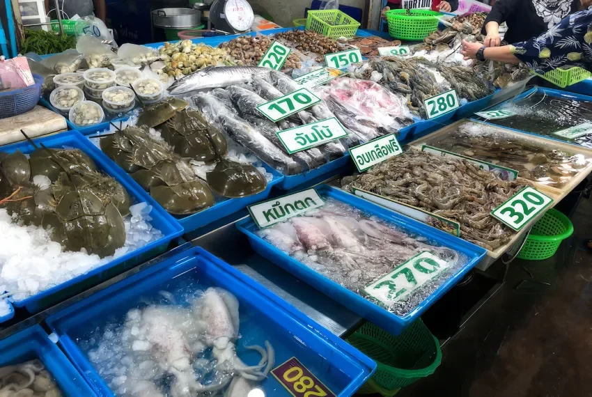 Shopping-and-market-in-samaesarn-cover-front-page