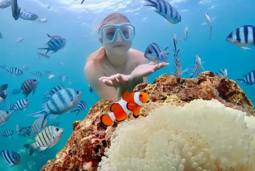 Snorkeling-samaesarn-cover-page-home